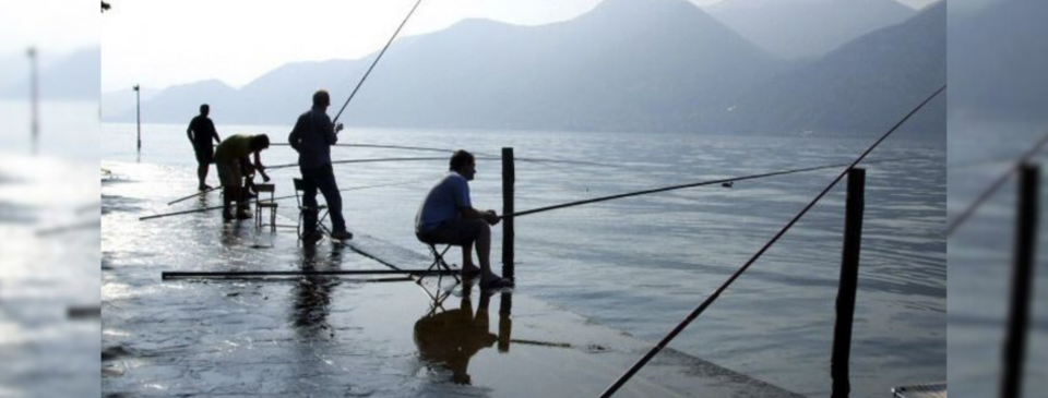 pesci minori del lago di Garda